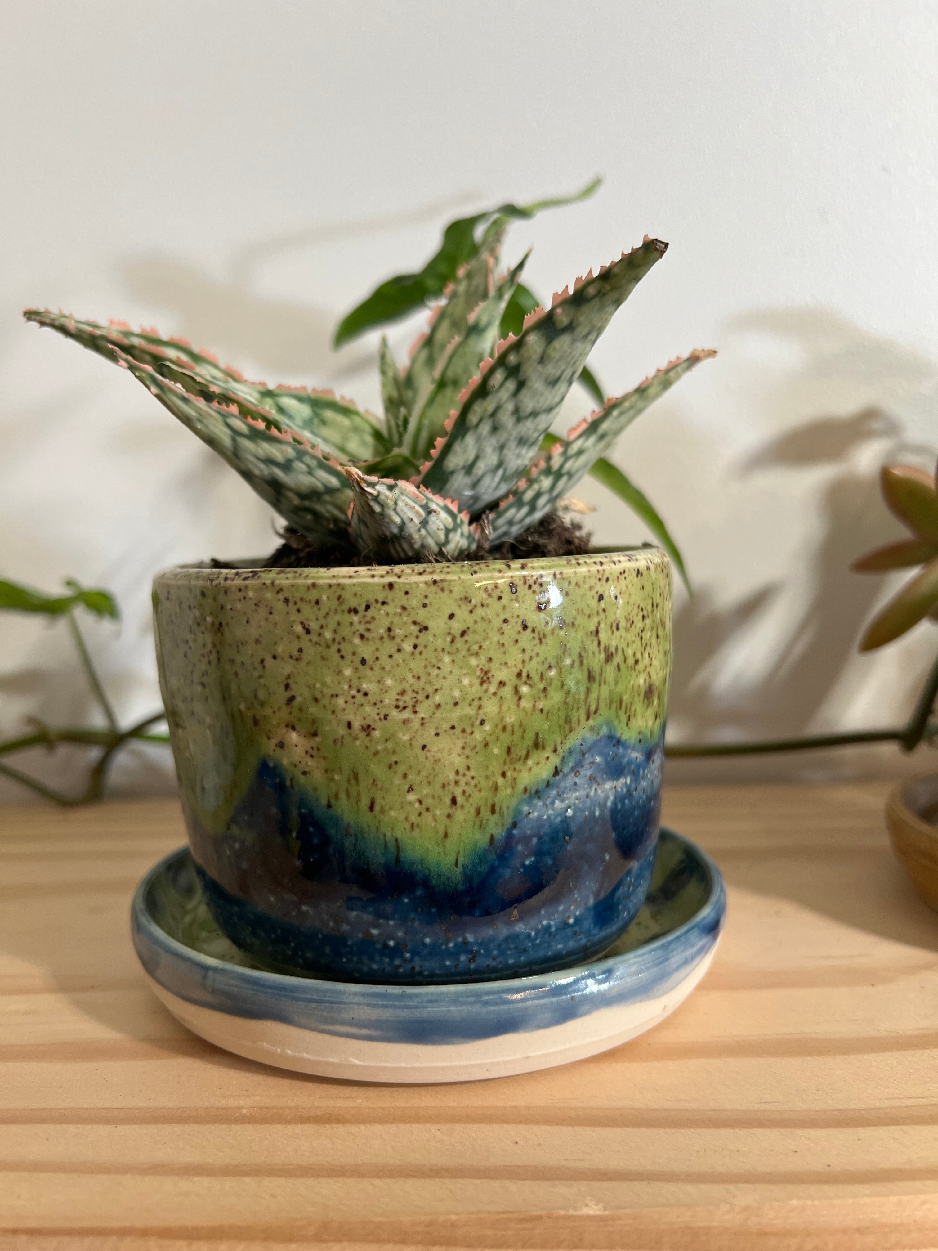 Planters