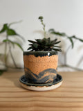 Orange and Green Planter