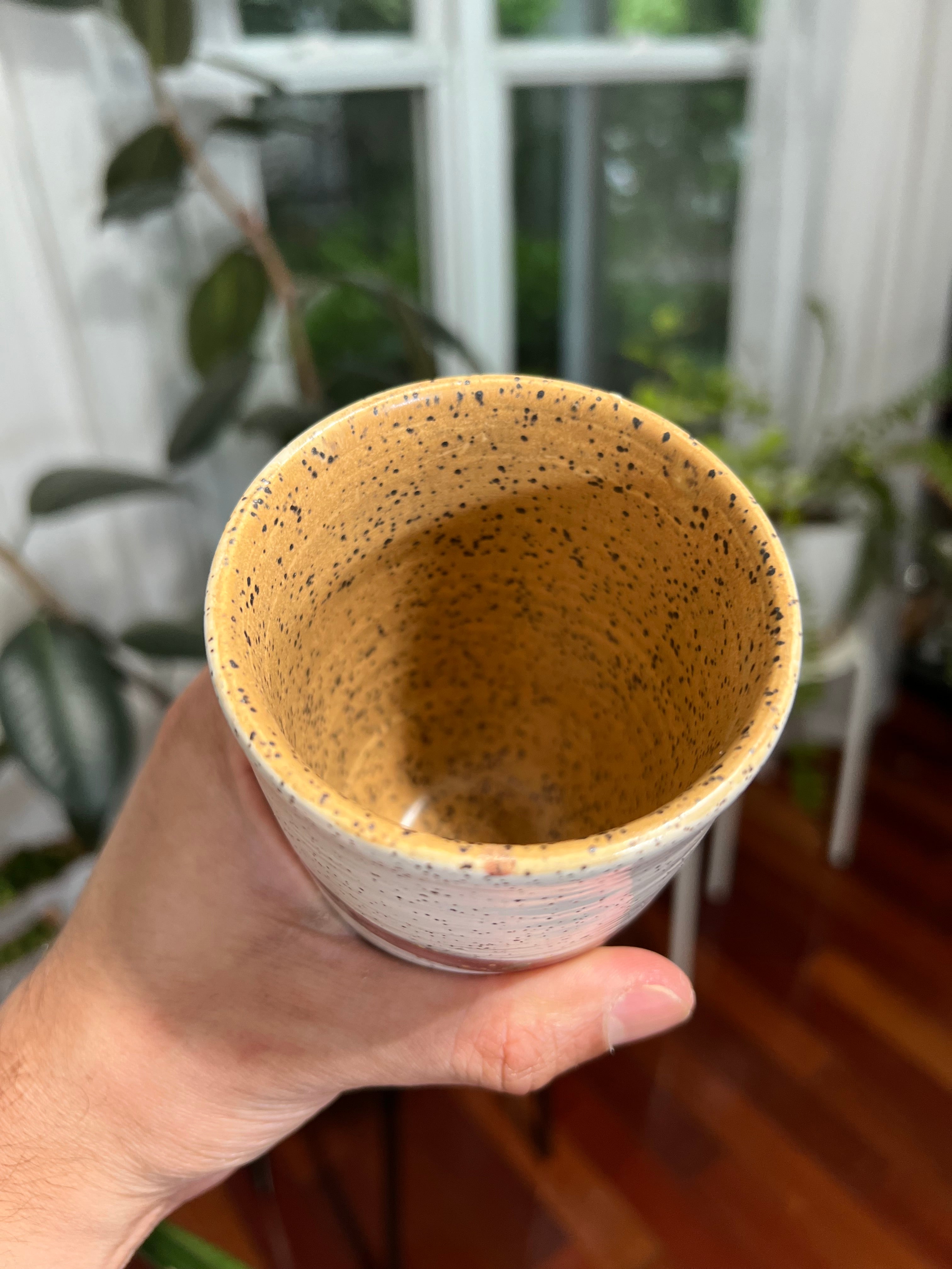 Set of White Cups with Purple Band